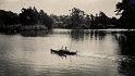 19500000s G S LONG Drake on Poole Park fresh water lake 1